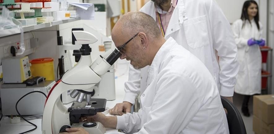 tregs-cambridge-breakthrough.jpg tregs-cambridge-breakthrough.jpg