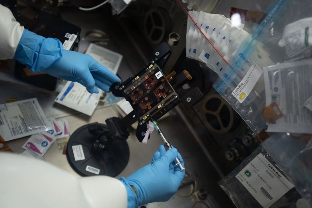 tissue-chip.jpg tissue-chip.jpg