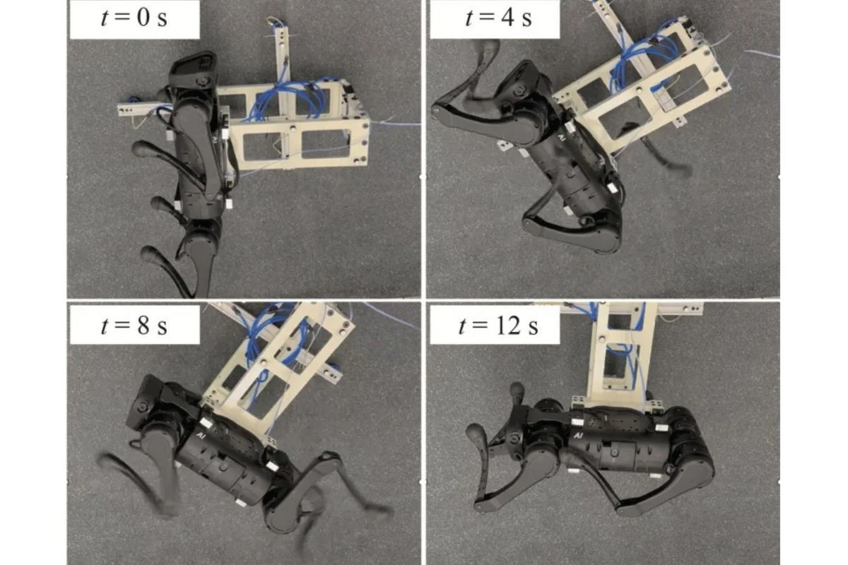 cat-robot-space-exploration-china.jpg cat-robot-space-exploration-china.jpg