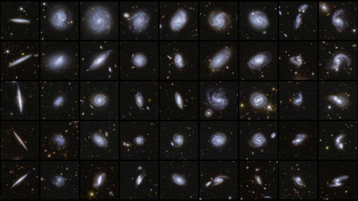 euclid-galaxies.jpg