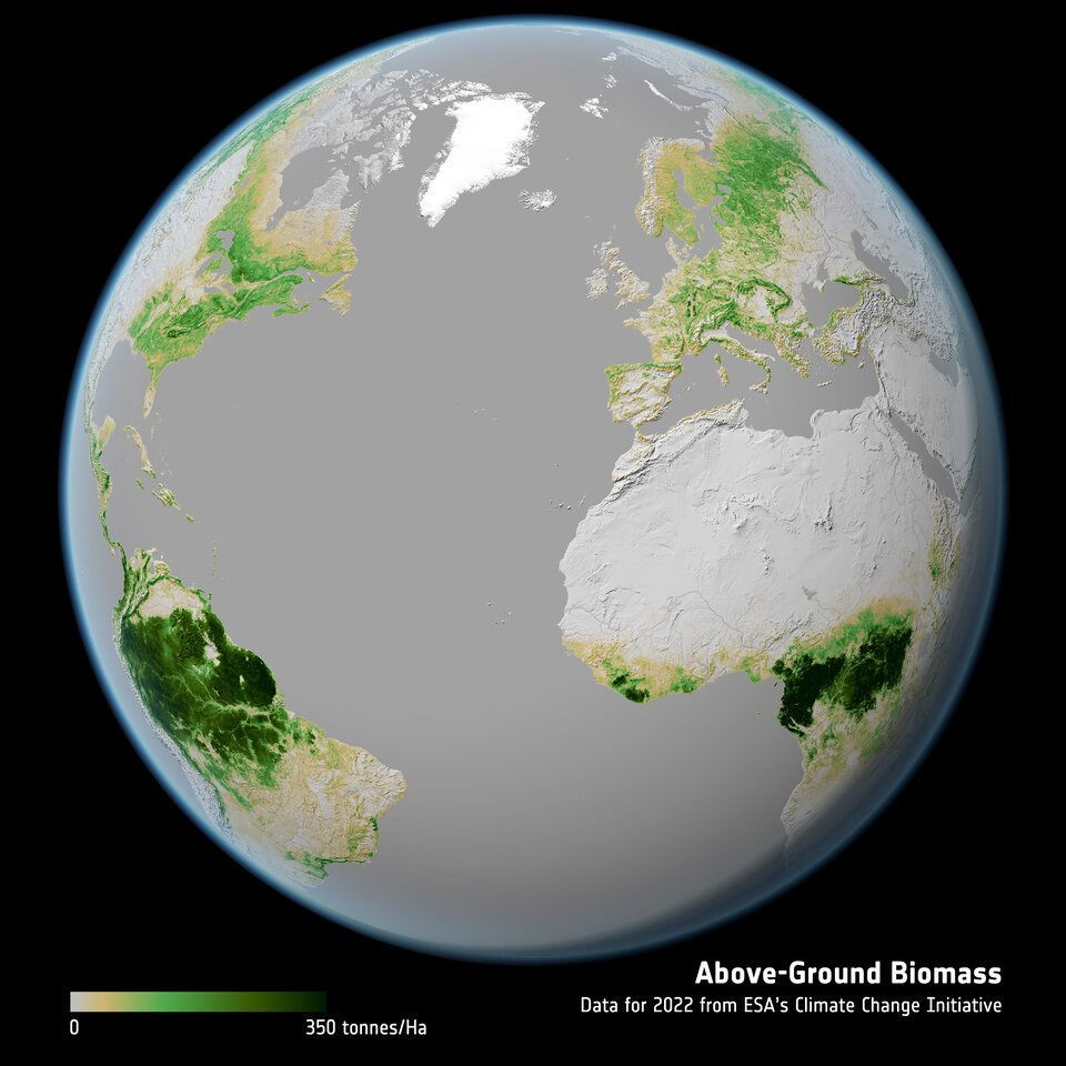 earth-biomass.jpg earth-biomass.jpg