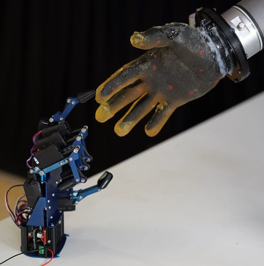 robot-skin.jpg robot-skin.jpg