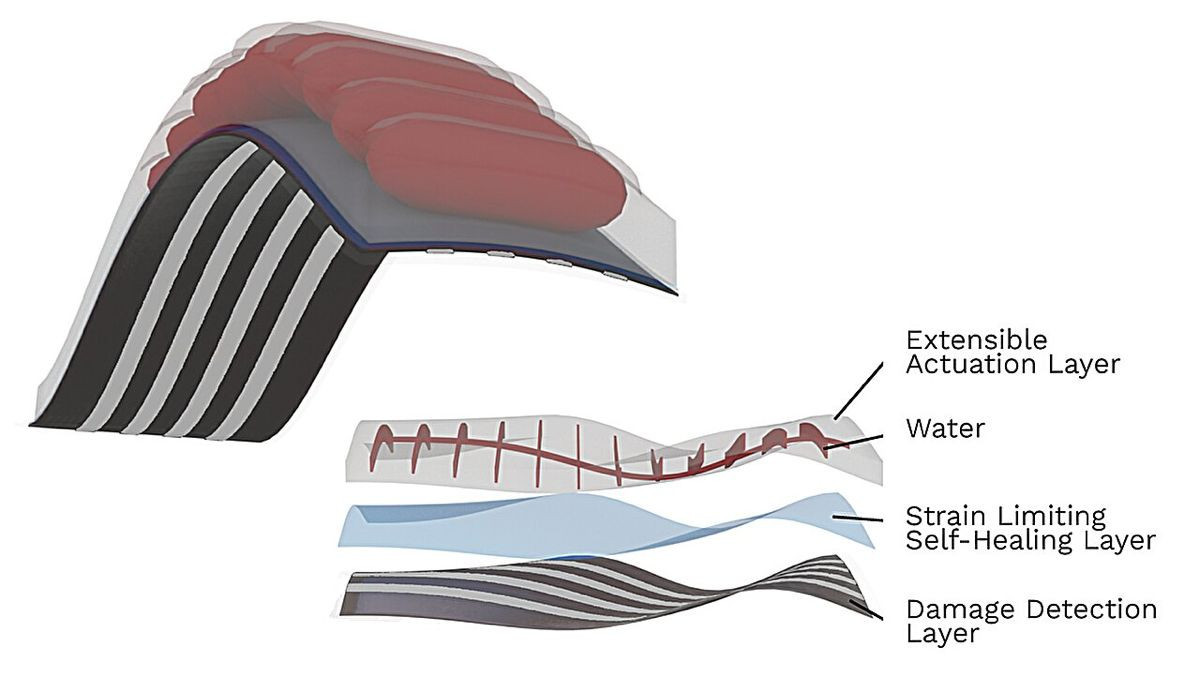 self-healing-robotic-muscle.jpg self-healing-robotic-muscle.jpg