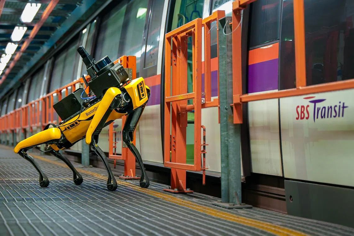 singapore-robot-dogs-1.jpg singapore-robot-dogs-1.jpg