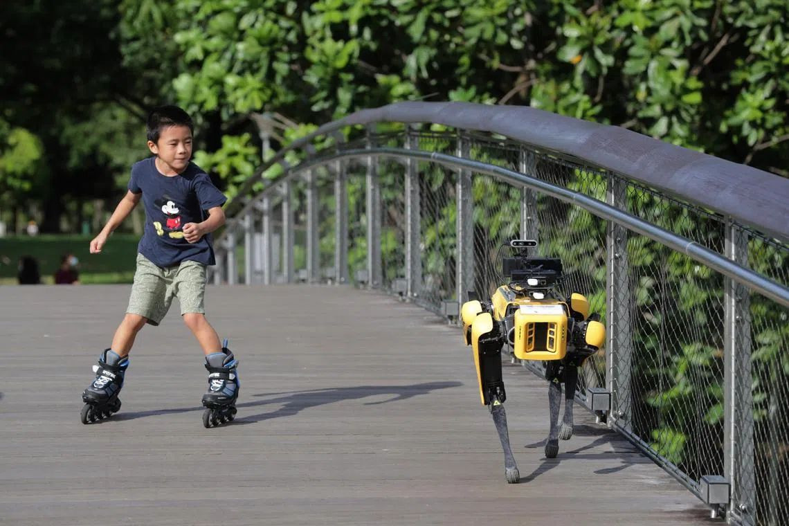 singapore-robot-dogs-2.jpg singapore-robot-dogs-2.jpg