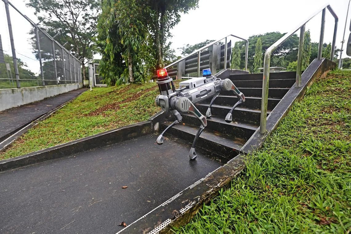 singapore-robot-dogs-3.jpg singapore-robot-dogs-3.jpg