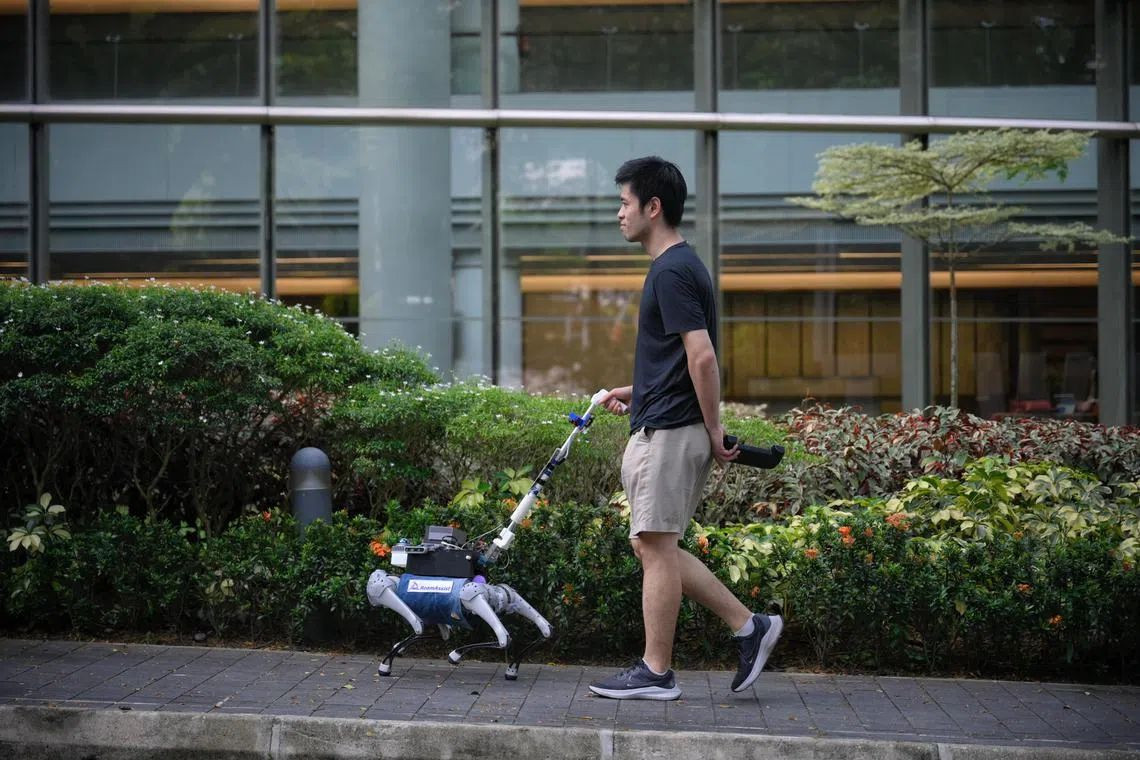 singapore-robot-dogs-4.jpg singapore-robot-dogs-4.jpg
