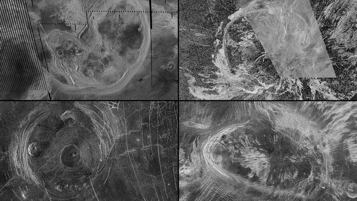 venus-activity.jpg venus-activity.jpg