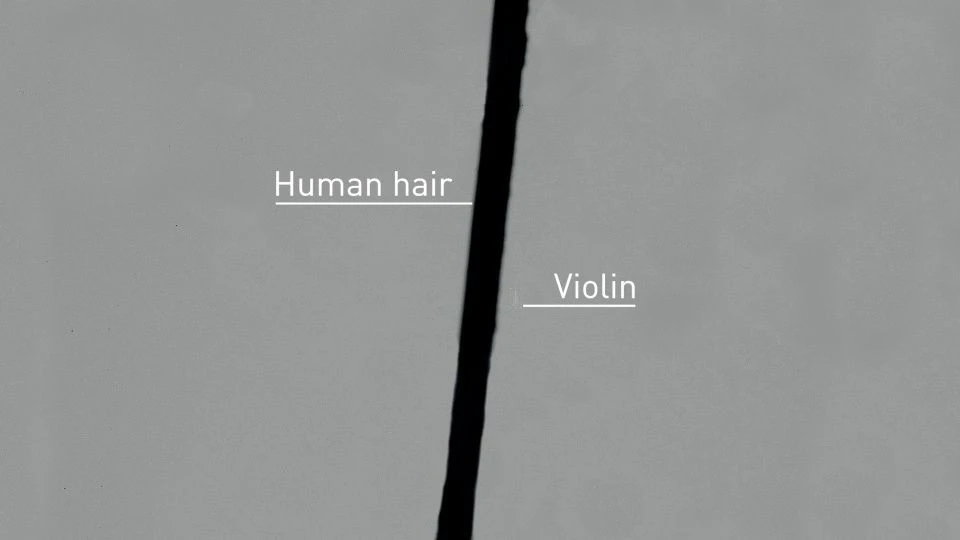 worlds-smallest-violin-1.jpg worlds-smallest-violin-1.jpg