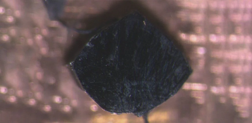 altermagnet-tohoku.jpg altermagnet-tohoku.jpg