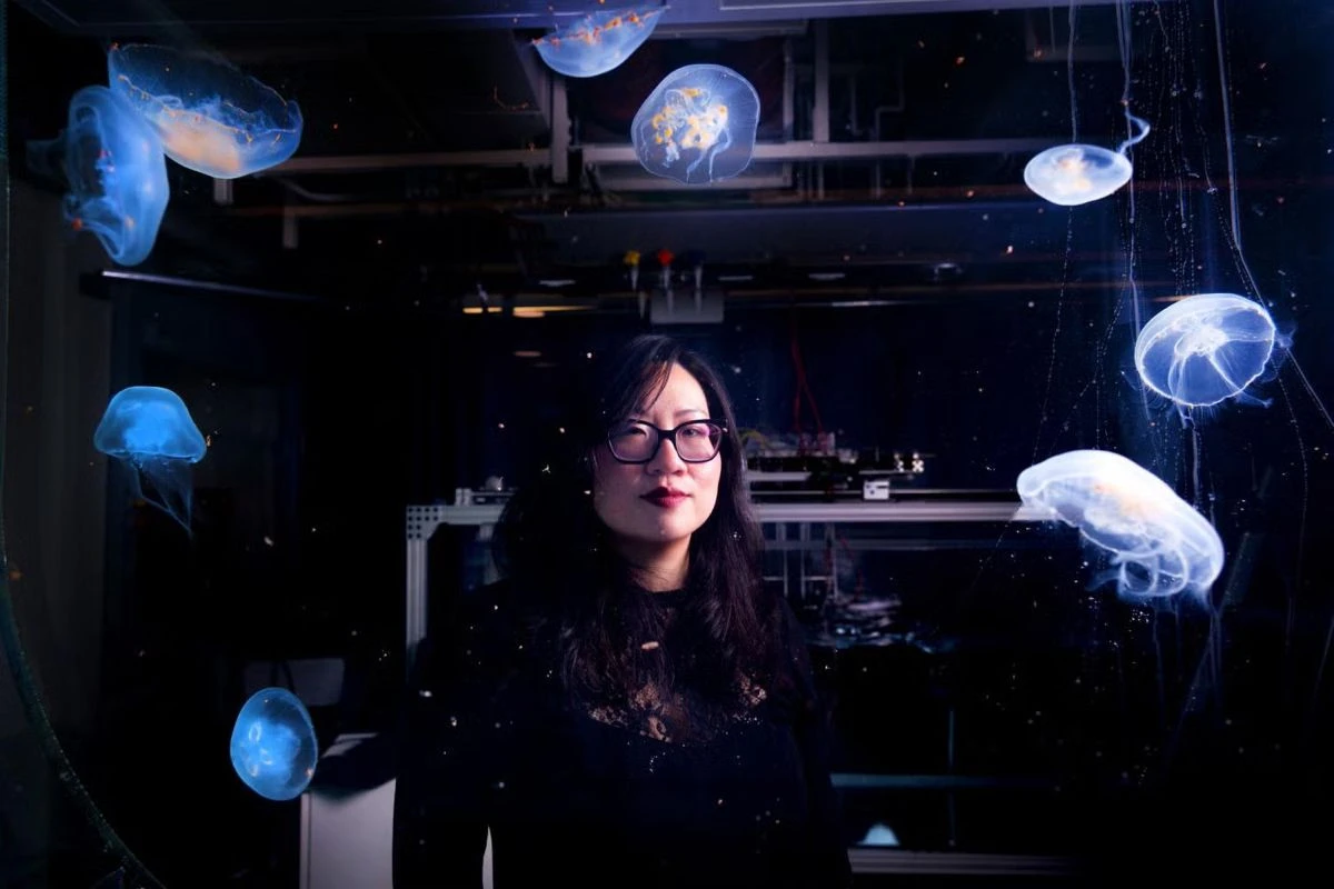 cyborg-jellyfish-1.jpg cyborg-jellyfish-1.jpg