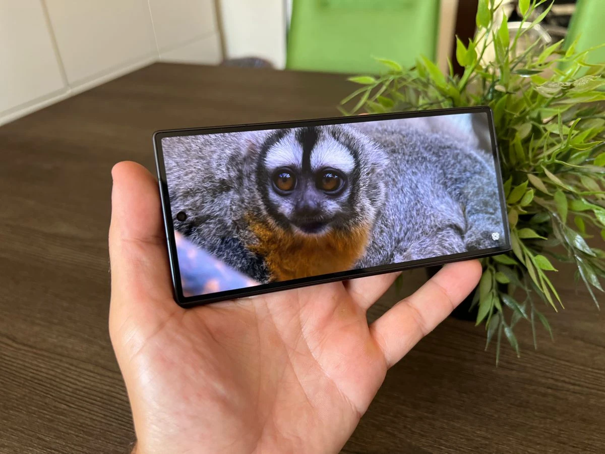 samsung-galaxy-z-fold7-techgear-review.jpg samsung-galaxy-z-fold7-techgear-review.jpg