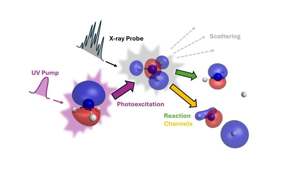 single-electron-chemical-reaction.jpg single-electron-chemical-reaction.jpg