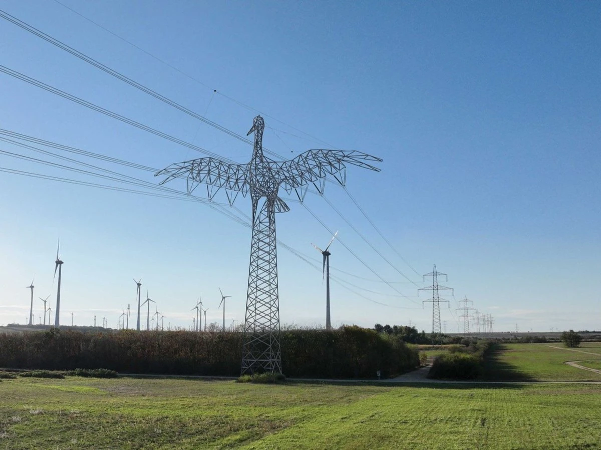 austrian-grid-lines-concept-1.jpg austrian-grid-lines-concept-1.jpg