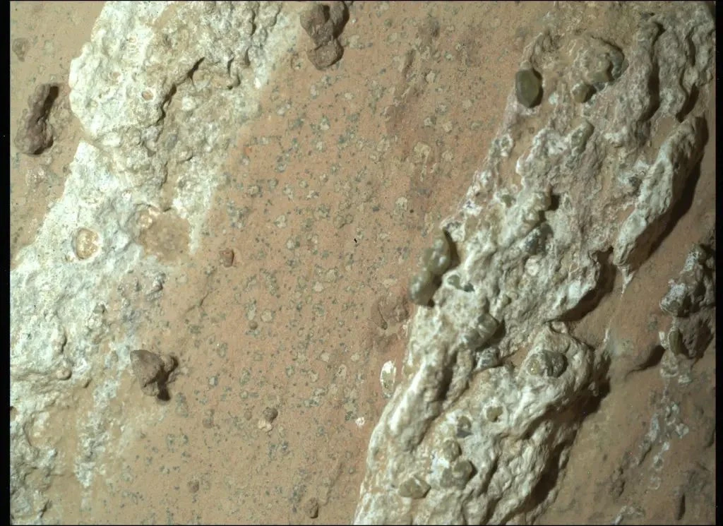 nasa-mars-life-1.jpg nasa-mars-life-1.jpg