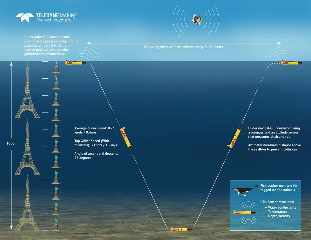 redwing-submarine.jpg redwing-submarine.jpg