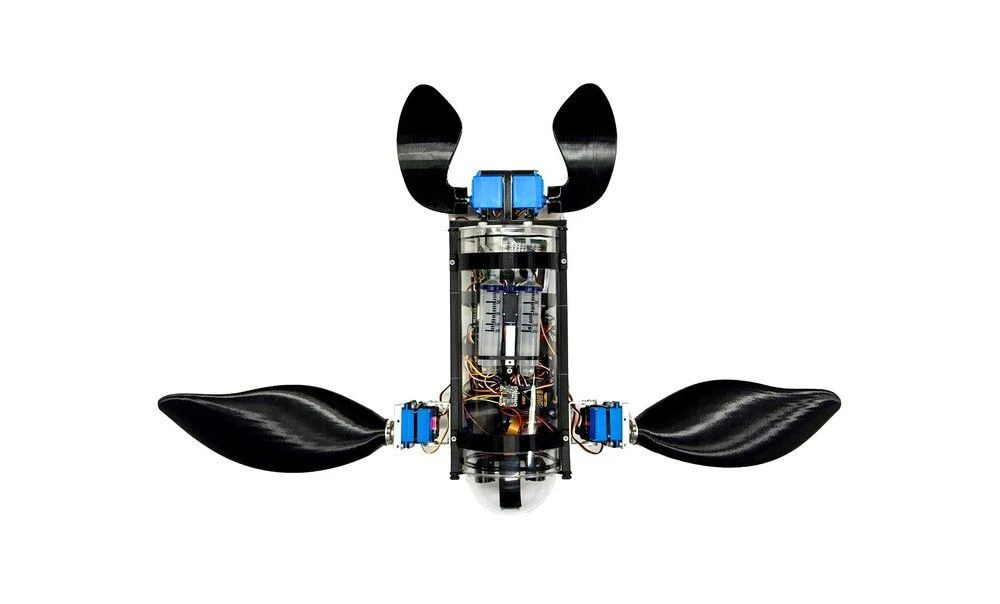 robotic-turtle.jpg robotic-turtle.jpg