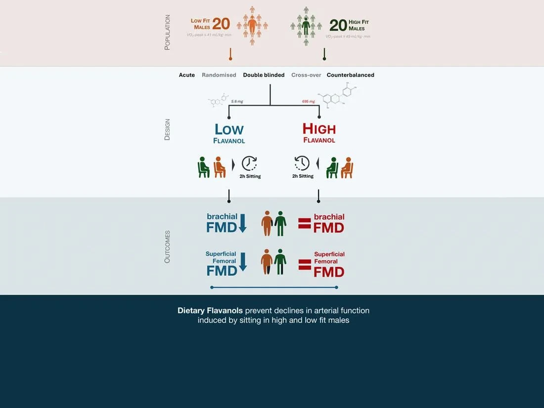 cocoa-research.jpg cocoa-research.jpg