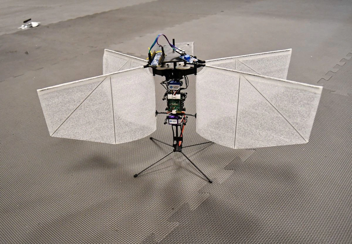 moth-drone-university-of-cincinnati.jpg moth-drone-university-of-cincinnati.jpg