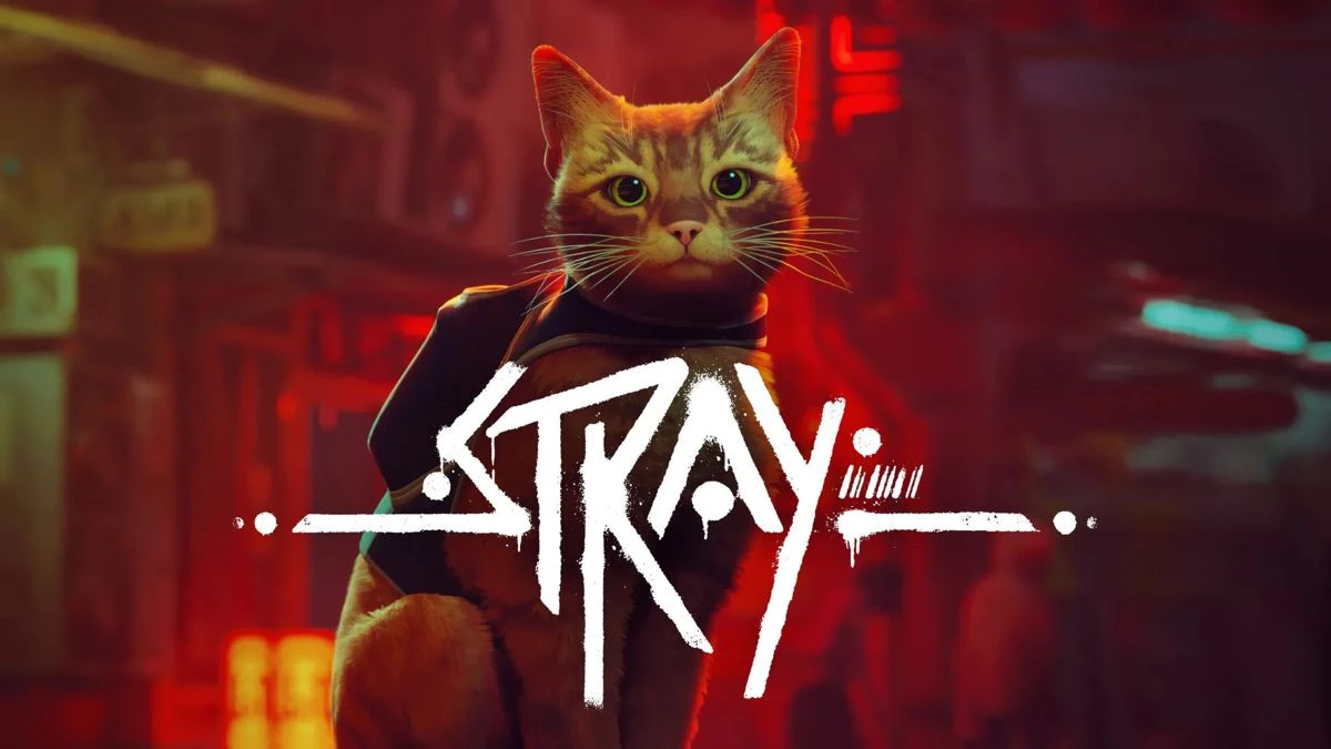 stray.jpg stray.jpg