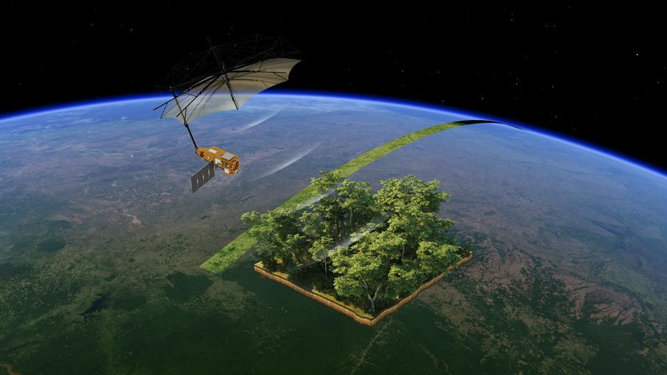 Biomass: Το δορυφορικό σύστημα του ESA αποκαλύπτει εντυπωσιακές εικόνες της βιομάζας του πλανήτη μας Biomass: Το δορυφορικό σύστημα του ESA αποκαλύπτει εντυπωσιακές εικόνες της βιομάζας του πλανήτη μας