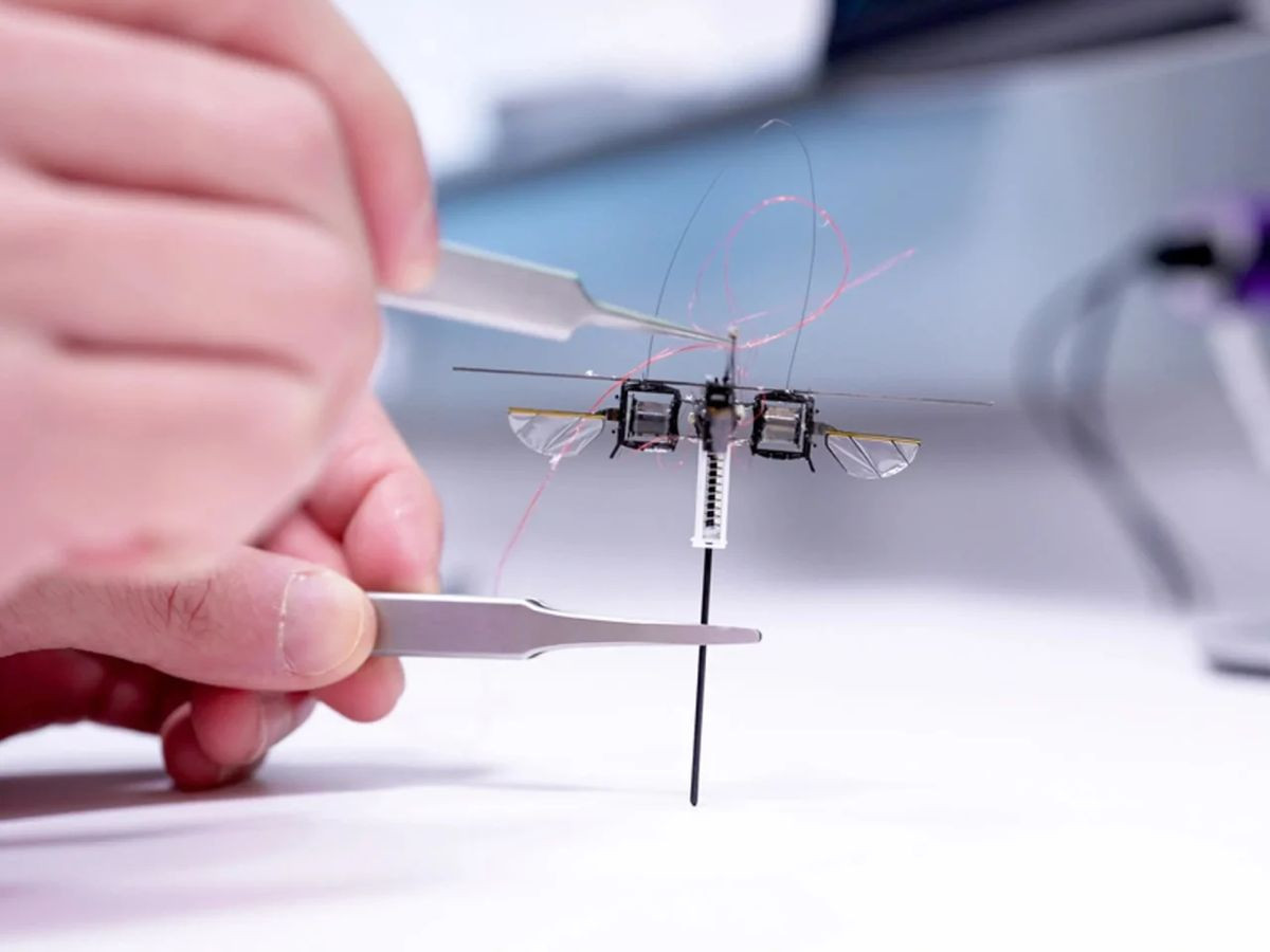 Το νέο θαύμα της Ρομποτικής: Ένα μικροσκοπικό ρομπότ που... πηδάει με φτερά