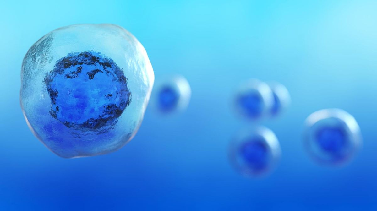 Δόθηκε η άδεια για δημιουργία ανθρώπινων εμβρύων από δερματικά κύτταρα