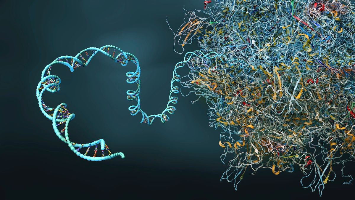 IBM και Moderna σπάνε ρεκόρ προσομοίωσης mRNA με κβαντικό υπολογιστή, χωρίς τη χρήση AI