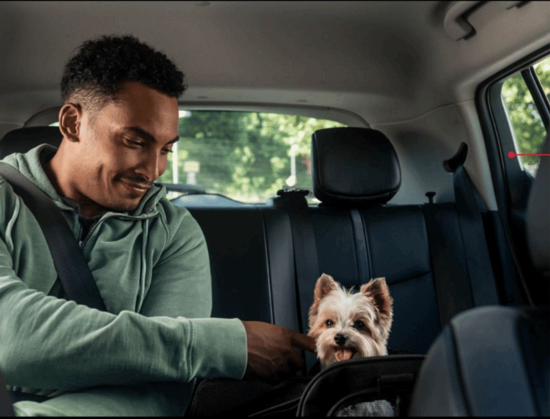 Uber Taxi Pet: Τώρα μετακινείσαι και με το κατοικίδιο σου Uber Taxi Pet: Τώρα μετακινείσαι και με το κατοικίδιο σου