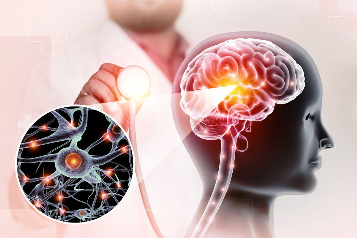 Ακόμα πιο ρεαλιστικά μοντέλα ανθρώπινου εγκεφάλου για εργαστηριακές μελέτες