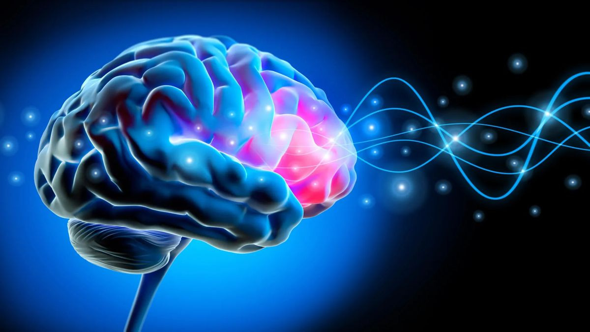 Γιατί νιώθεις το σώμα σου δικό σου; Η απάντηση κρύβεται σε έναν εγκεφαλικό ρυθμό