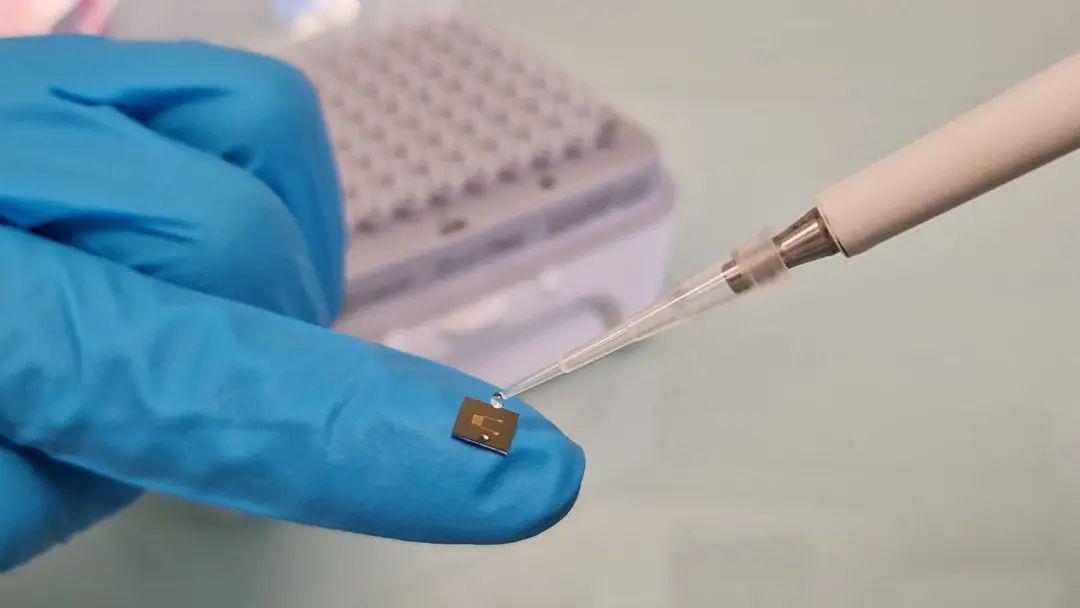 Οι «ηλεκτρικές» πρωτεΐνες που ίσως αλλάξουν για πάντα τα ιατρικά εμφυτεύματα