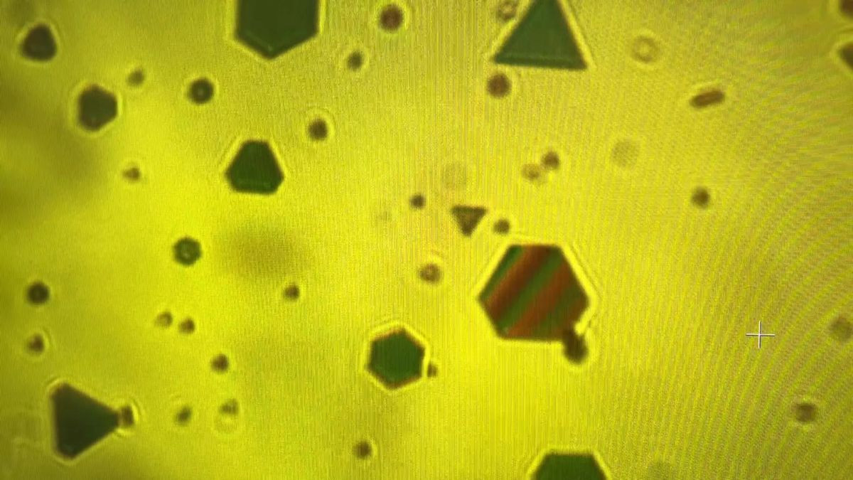 Νιφάδες-αισθητήρες από χρυσό αποκαλύπτουν τις αόρατες δυνάμεις του κόσμου μας