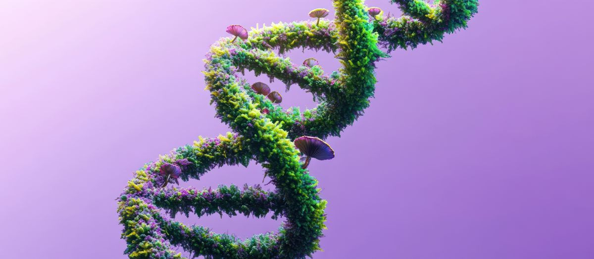 Επιστήμονες δημιούργησαν τον πρώτο 4D χάρτη του ανθρώπινου DNA