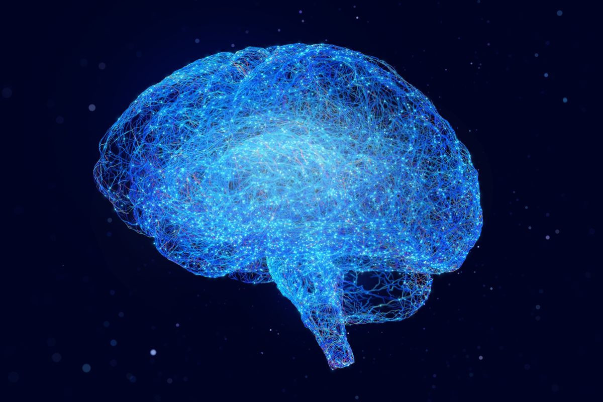 Πρωτοποριακός «χάρτης» αποκαλύπτει πώς λειτουργεί ο εγκέφαλος μας