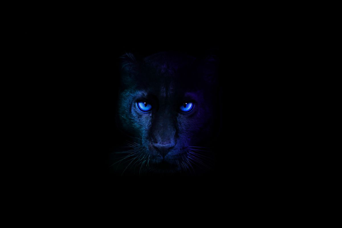 Intel Core Ultra 300: Η Panther Lake εποχή στα 2nm ξεκινά με ρεκόρ αυτονομίας και άλμα στα γραφικά