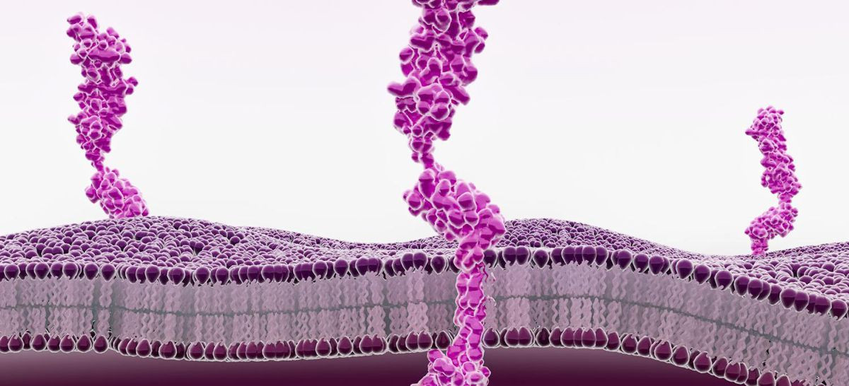 «Φρένο» στη φλεγμονή: Η ανακάλυψη που αλλάζει τα δεδομένα στον διαβήτη