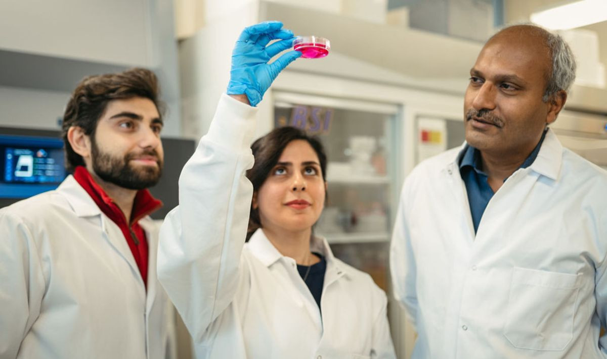 «Ζωντανοί επίδεσμοι» σε 5 ώρες: Η καινοτομία που αλλάζει την Ιατρική