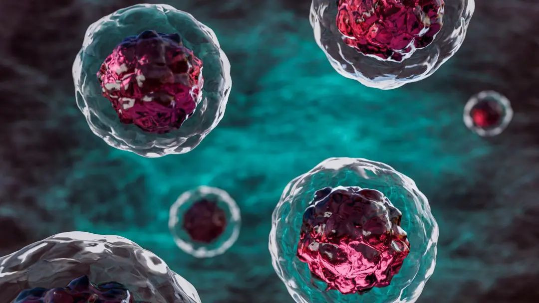 Επιστήμονες εκτύπωσαν δομές στο εσωτερικό ανθρώπινων κυττάρων: Τι σημαίνει για το μέλλον