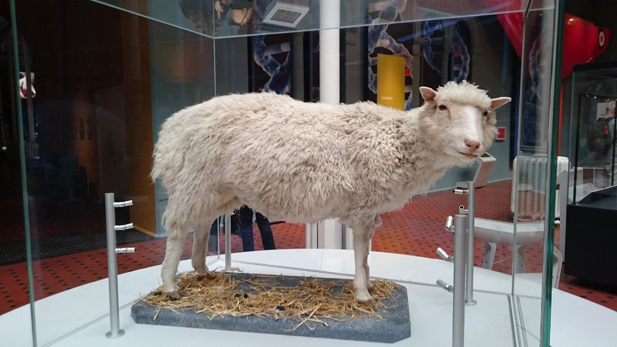 Κλωνοποίηση: Μπορεί να γίνεται επ' αόριστον ή υπάρχει τελικά κάποιο όριο;