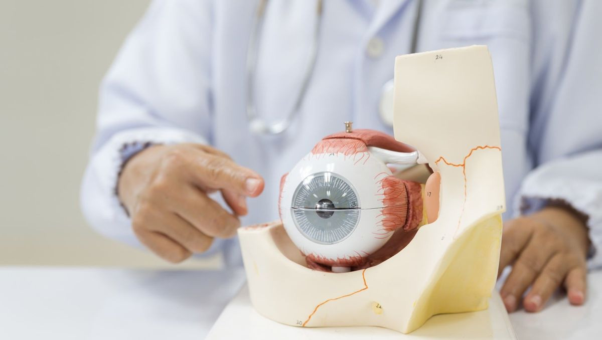 Ιστορική έγκριση FDA: Ξεκινά η πρώτη δοκιμή για «αντιστροφή» της γήρανσης σε ανθρώπινα μάτια