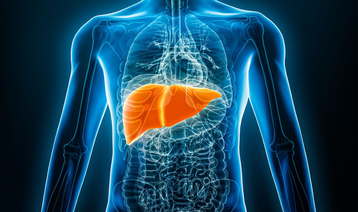 Project LIVE: Προς τη δημιουργία 3D βιοεκτυπωμένου ήπατος για ασθενείς με ανεπάρκεια