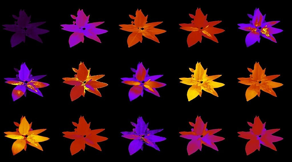 Πώς ο υπερυπολογιστής Frontier και η AI αλλάζουν το μέλλον των καλλιεργειών