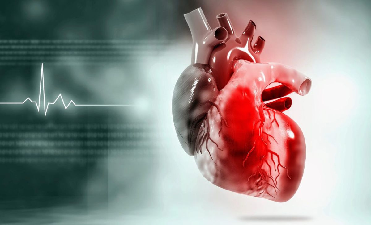 Ανατροπή στην Ιατρική: Η ανθρώπινη καρδιά μπορεί να αναγεννηθεί μετά το έμφραγμα