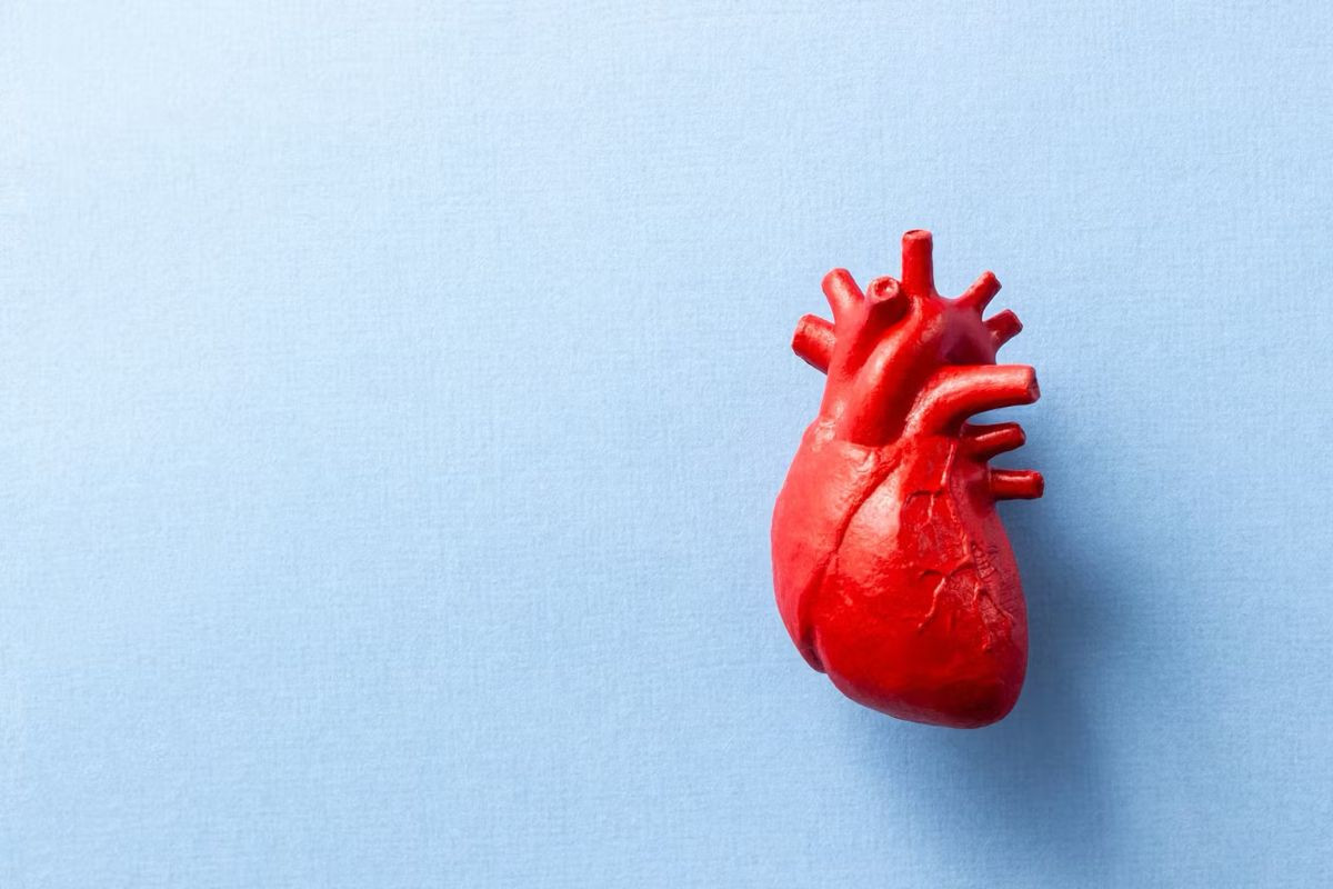 Μαγνητικό υγρό στην καρδιά αποτρέπει τα εγκεφαλικά επεισόδια