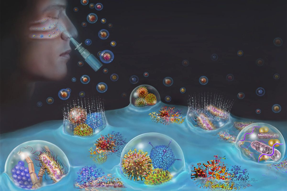 Νέα ανακάλυψη για τον H5N1: Πώς ένα ρινικό σπρέι μπορεί να αποτρέψει τη μετάδοση