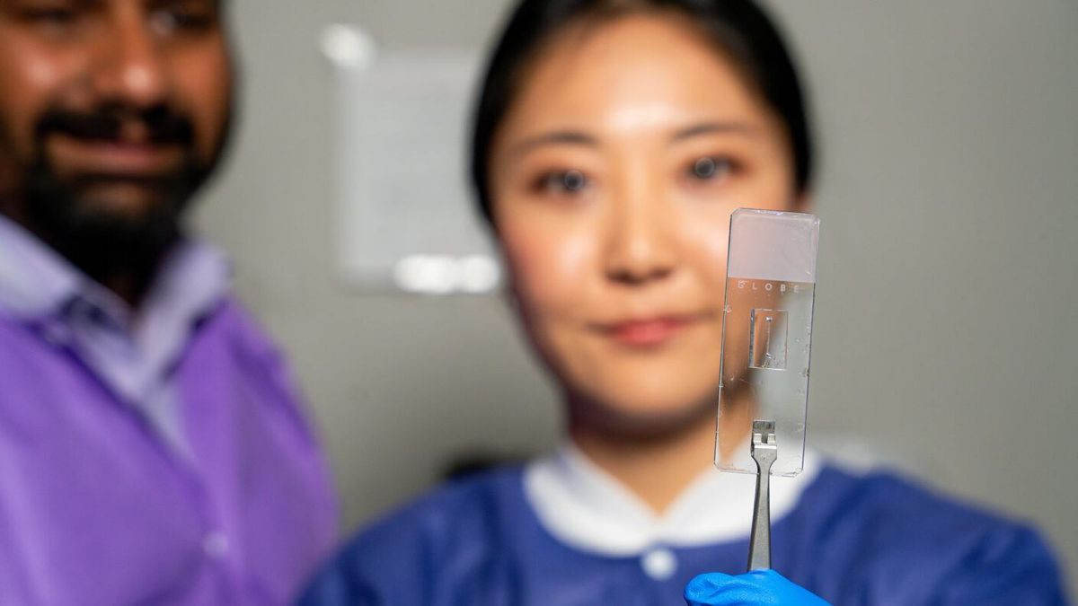 Ιστορικό επίτευγμα: Έφτιαξαν αγγειακά μικροτσίπ που μιμούνται το ανθρώπινο κυκλοφορικό σύστημα