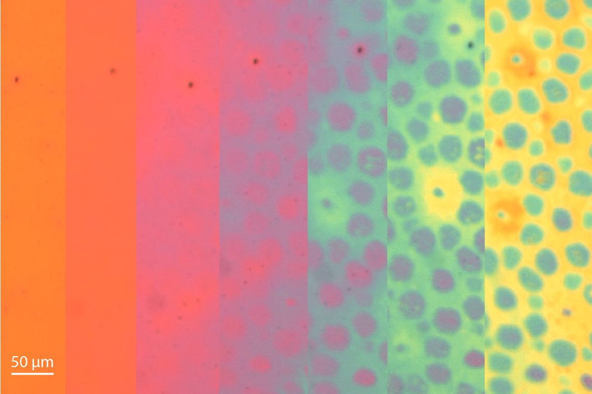 Συνθετικό δέρμα από το Stanford μιμείται το χταπόδι αλλάζοντας χρώμα και υφή σε δευτερόλεπτα