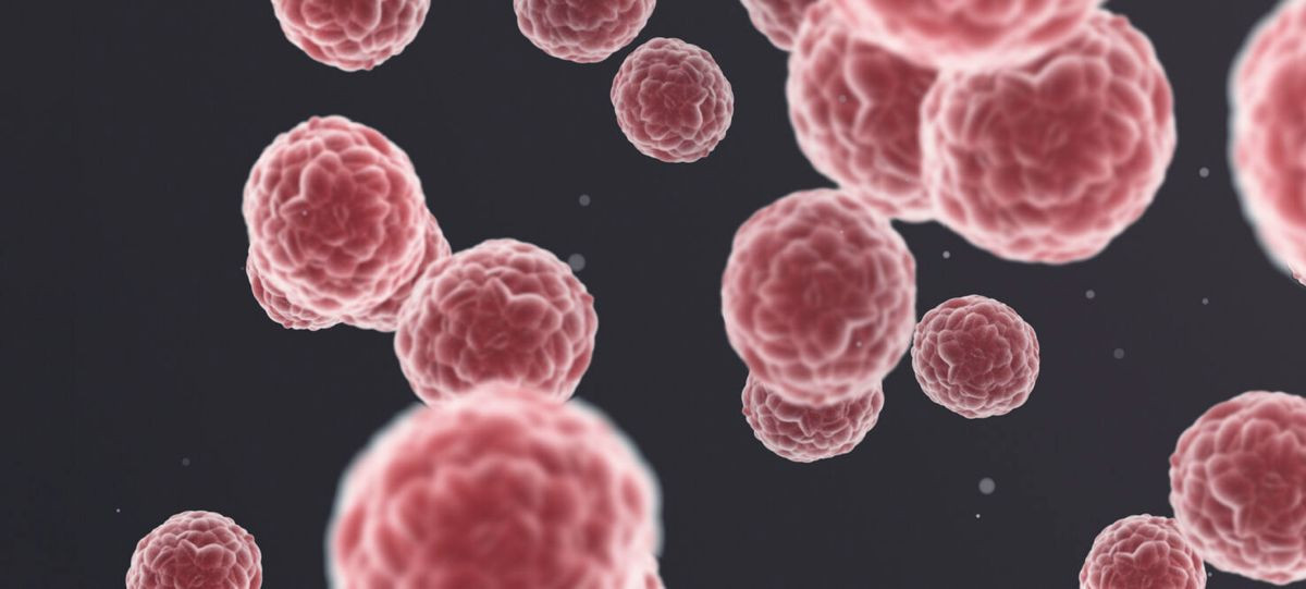 ALFA-K: Το ψηφιακό εργαλείο που προβλέπει πώς θα εξελιχθεί ο καρκίνος