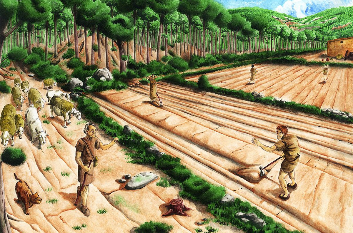Πώς η γεωργία επιτάχυνε την ανθρώπινη εξέλιξη τα τελευταία 10.000 χρόνια: Τα γενετικά δεδομένα